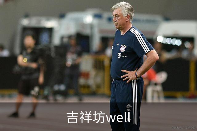 吉祥坊well公司介绍图